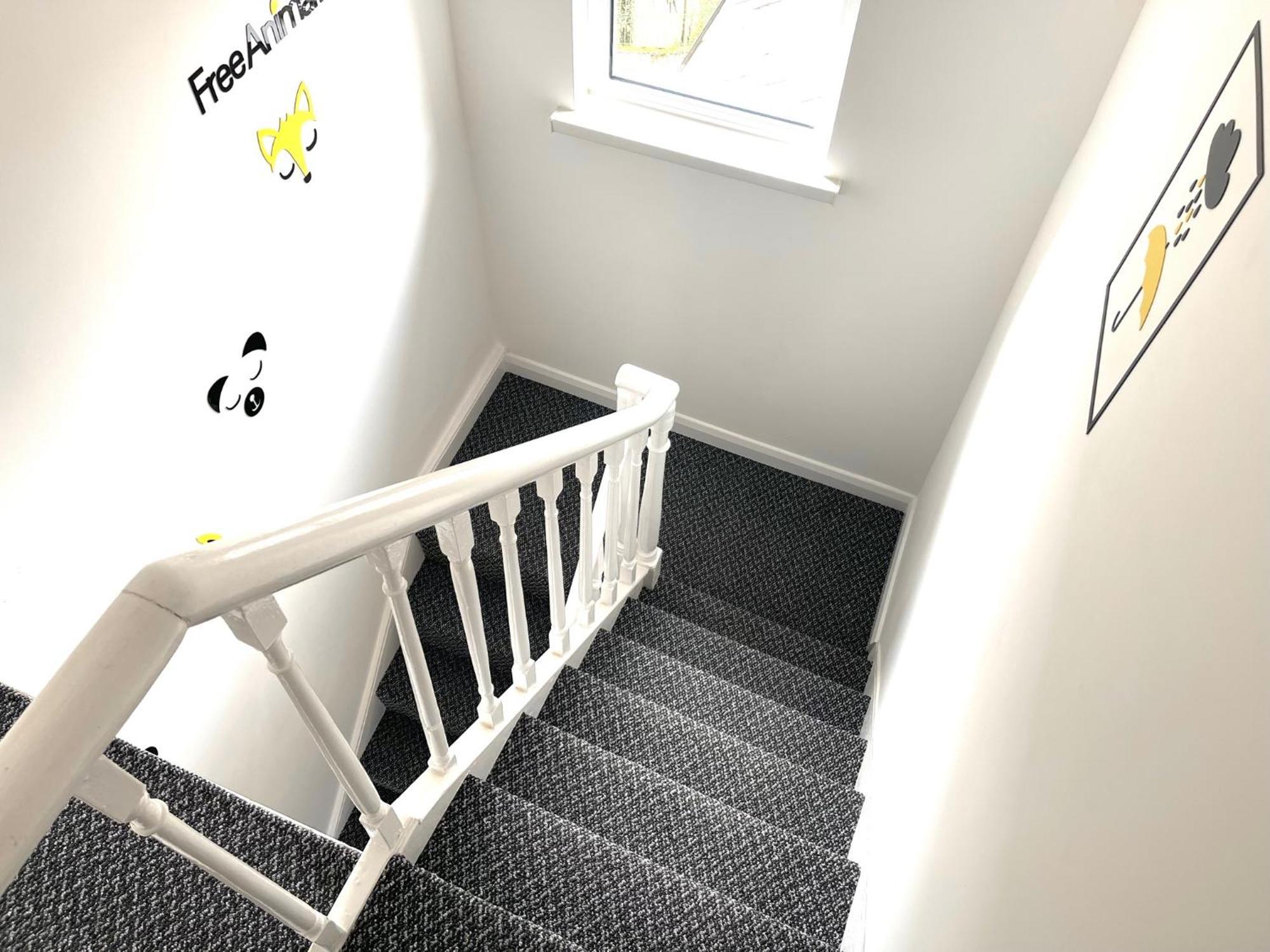 Entire Yellowapt Near Belfast City Centre - Free Parking - Up To 3 Guests - 2 Beds Kültér fotó